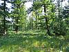 IMG_6865.jpg
