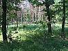 IMG_6875.jpg