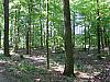IMG_6910.jpg