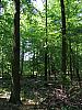 IMG_6911.jpg
